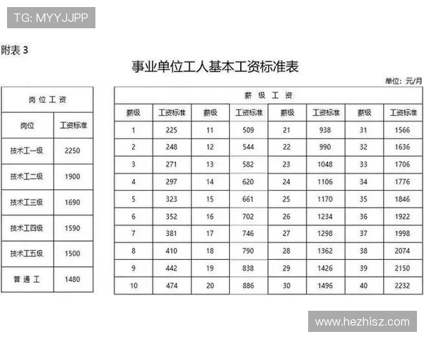 乒乓球德甲球员收入揭秘欧洲顶级联赛薪资水平与职业发展分析