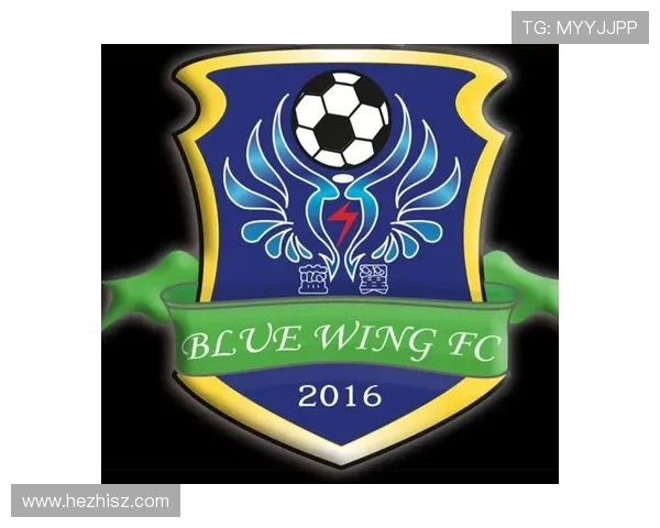 全球足球联赛英文名称完整列表及各大联赛简介 全球足球联赛英文名称完整列表及各大联赛简介