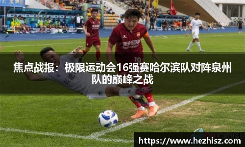 bibo必博